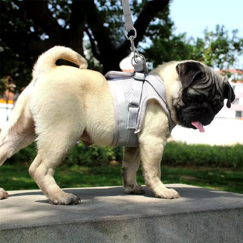 Coleiras de peito para cães-guia confortáveis e ajustáveis, ideais para caminhadas, passeios seguros e confortáveis para seu animal de estimação